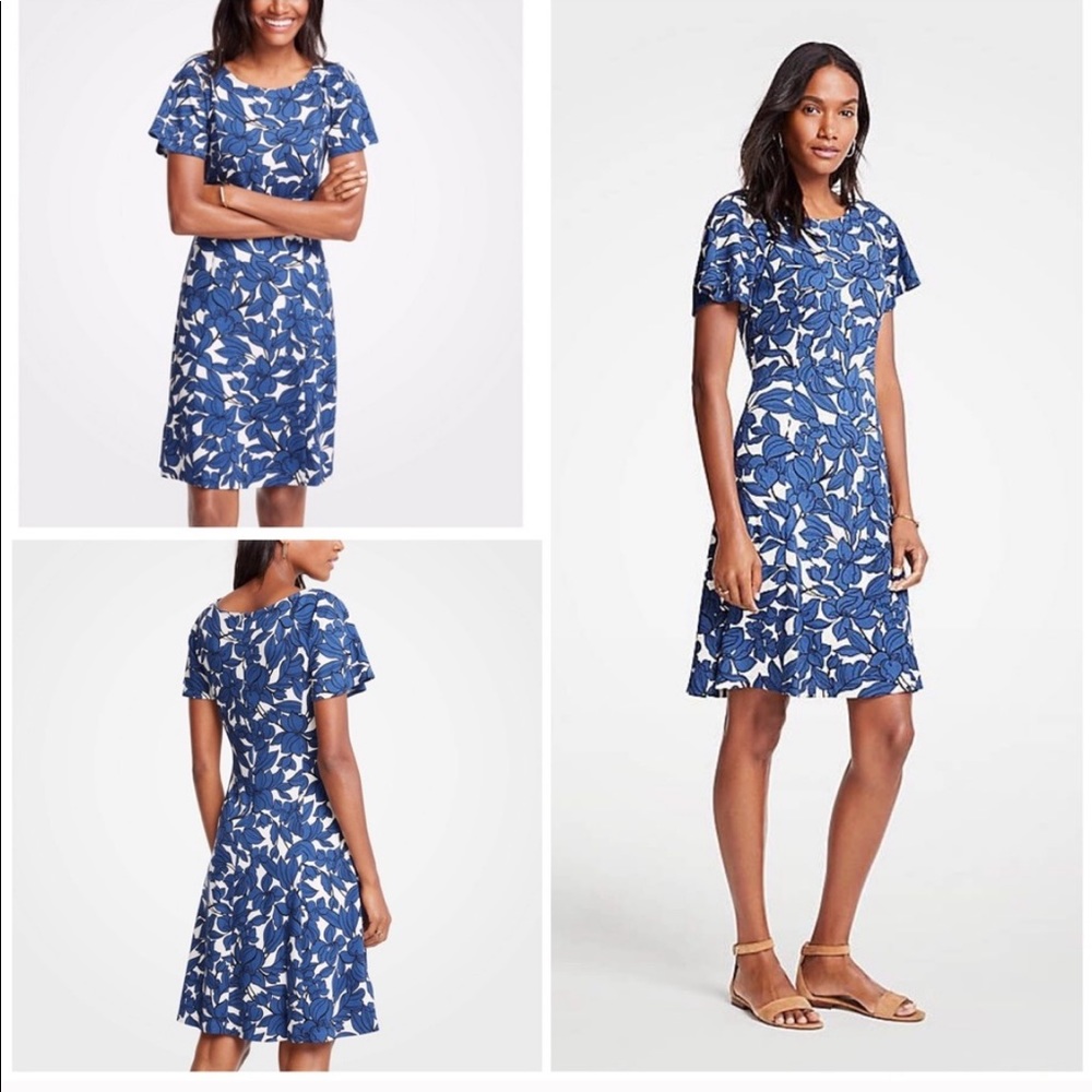 Ann Taylor Short Sleeve Dress